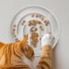 Slow Feed Cat Bowl view 2