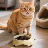 Qfdiwr Cat Bowl - Anti-Slip Feeding Bowl for Cats and Small Dogs view 2
