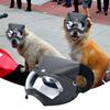 Large Dog Sunglasses with UV Protection and Adjustable Strap view 3