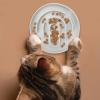 Cat Food Maze – Slow-Feeding Wet Food Bowl view 2