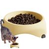 Cat Bowl | Anti-Vomiting Slanted Cat Feeder with Treat Dispenser view 1
