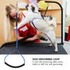 AlpenLife Basics Pet Grooming Loop, 19.7-Inch Steel Wire, 1 Piece view 4