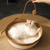 Foldable Breathable Padded Cat Basket Bed for Furniture Protection view 3
