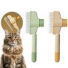 2-Pack Self-Cleaning Pet Brush & Flea Comb view 1