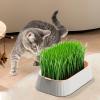 Indoor Cat Grass Set view 3