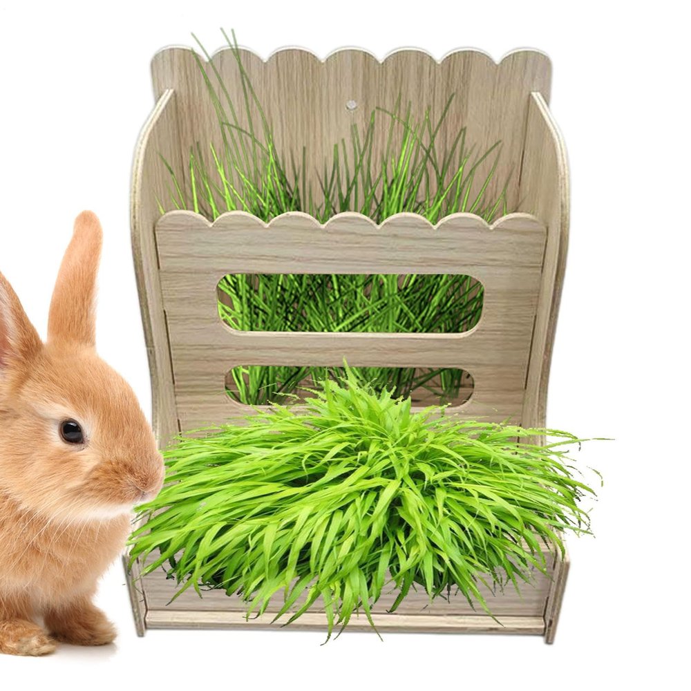 Hay Rack and Grass Feeder for Small Animals