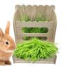 Hay Rack and Grass Feeder for Small Animals view 1