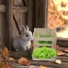 Hay Rack and Grass Feeder for Small Animals view 2