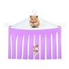 Croovepi Chinchilla Hammock view 1