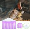 Croovepi Chinchilla Hammock view 3