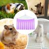 Croovepi Chinchilla Hammock view 4