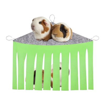 Squirrel Hammock for Small Pets
