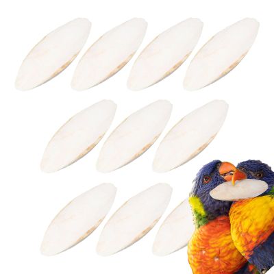Natural Bird Cuddle Bone - Calcium Beak Treatment