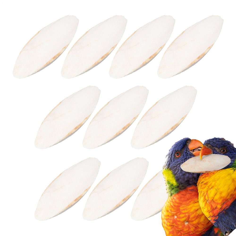 Natural Bird Cuddle Bone - Calcium Beak Treatment