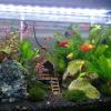 Reptile Hideout - 2 Pack view 2