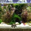 Reptile Hideout - 2 Pack view 4