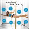 Ceiling-Mounted, Height-Adjustable Static Dance Pole view 2