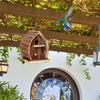 Birdhouse Bird Home view 3