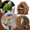 Birdhouse Bird Home view 4