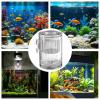 Aquarium Nursery Divider, Transparent Acrylic with Suction Cups view 4