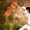 Durable Dog Chew Toy with Treat Dispenser view 3