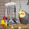 Bird Chew Toy, Parrot Spoon Ring Toy, Stainless Steel Hanging Gnawing Scoop view 4