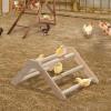 Wooden Chick Perch for Chicken Coop Training view 2