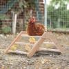 Wooden Chick Perch for Chicken Coop Training view 3