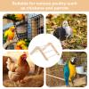 Wooden Chick Perch for Chicken Coop Training view 4