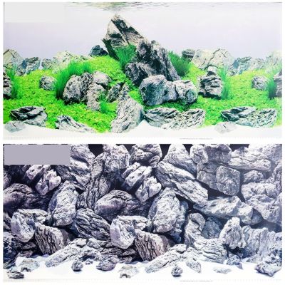 MDSIOKHJ Aquarium Background 60/100/150 cm High, Double-Sided Aquarium Background Poster, Rock Decorative Wall Background, Glossy (Red, 60 x 30 cm)