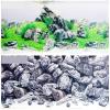 MDSIOKHJ Aquarium Background 60/100/150 cm High, Double-Sided Aquarium Background Poster, Rock Decorative Wall Background, Glossy (Red, 60 x 30 cm) view 1