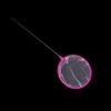 Aquarium Fishing Net 3-4.5 Inch Diameter view 3