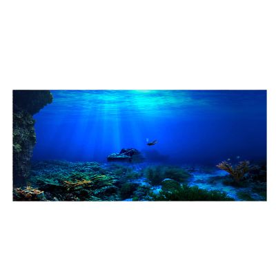 Yinhing Aquarium Background Poster