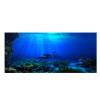 Yinhing Aquarium Background Poster view 1