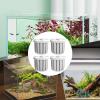 Stable Aquarium Plant Holder view 4