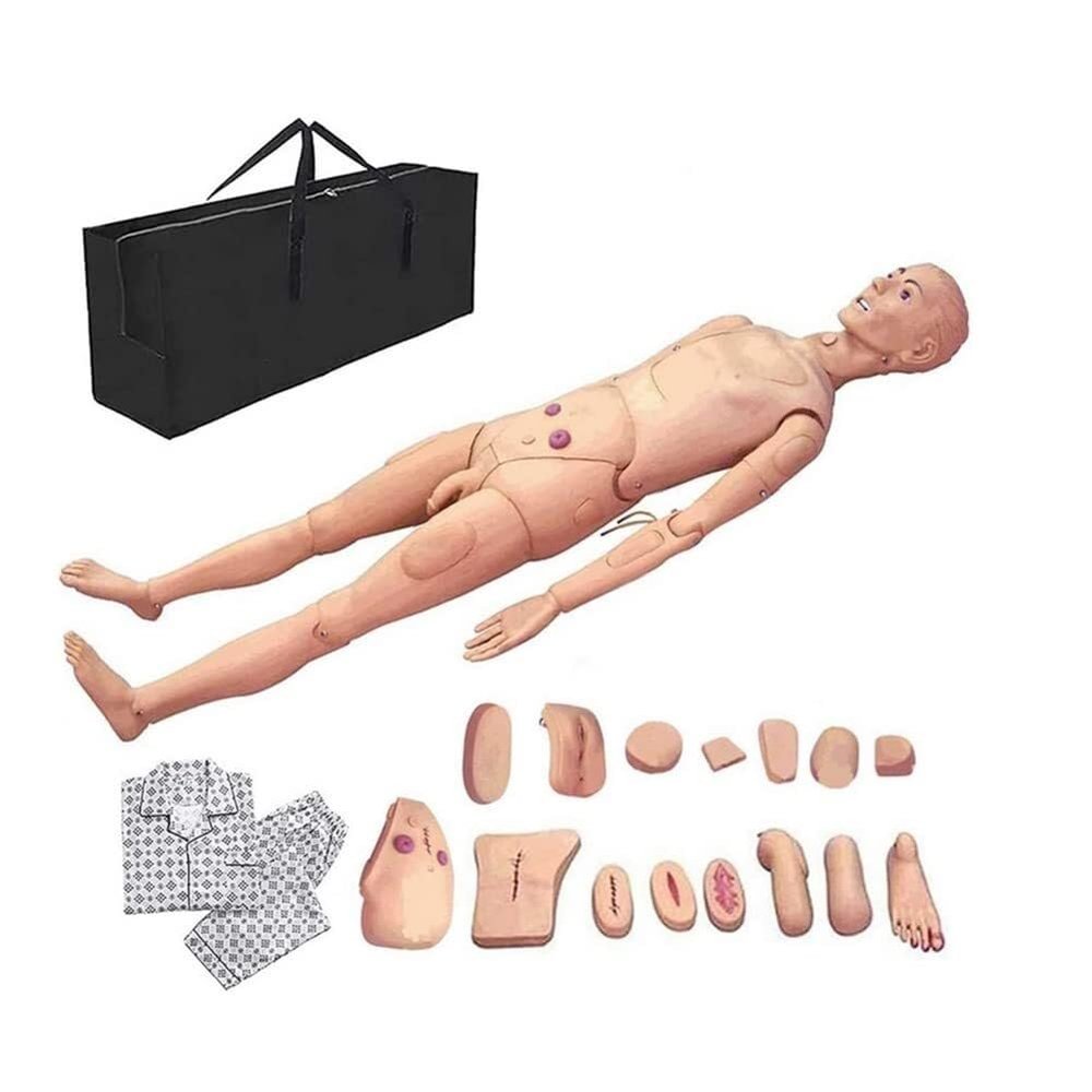 XSDAJSD Multifunctional Anatomical Human Model, Geriatric Patient Care Training Simulator with Interchangeable Genitalia