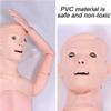 XSDAJSD Multifunctional Anatomical Human Model, Geriatric Patient Care Training Simulator with Interchangeable Genitalia view 2