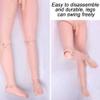 XSDAJSD Multifunctional Anatomical Human Model, Geriatric Patient Care Training Simulator with Interchangeable Genitalia view 3