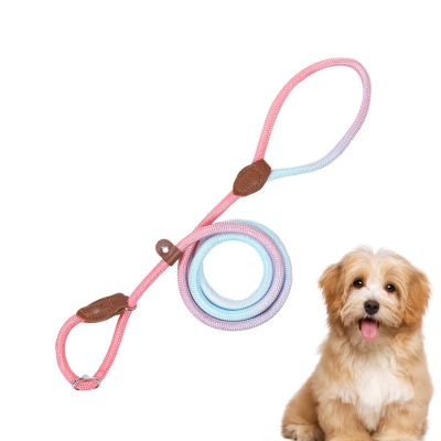 Dog Harness and Training Leash for Puppies