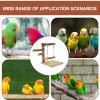 Parrot Perch Stand, Wooden Bird Play Stand view 4
