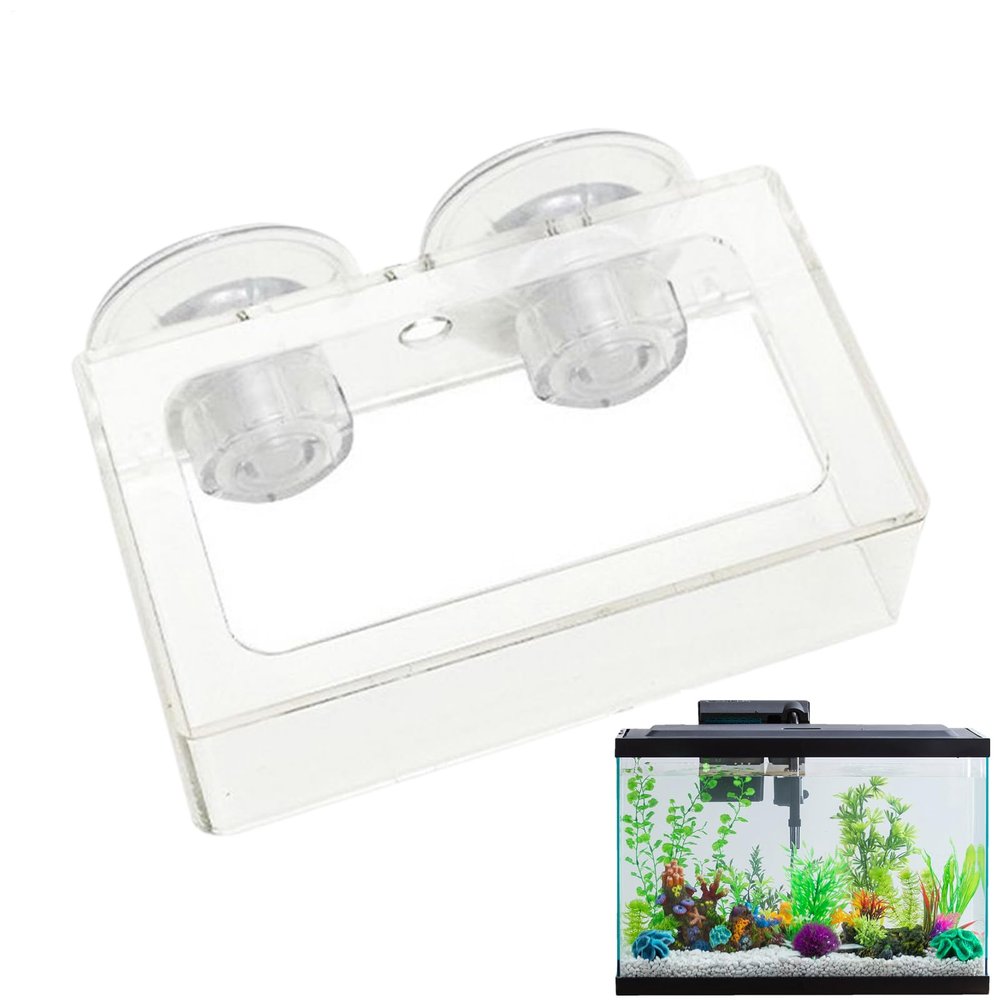 Fish Feeding Bowl with Suction Cup