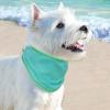 Dog Cooling Bandana - Breathable Pet Cooling Scarf for Dogs view 3