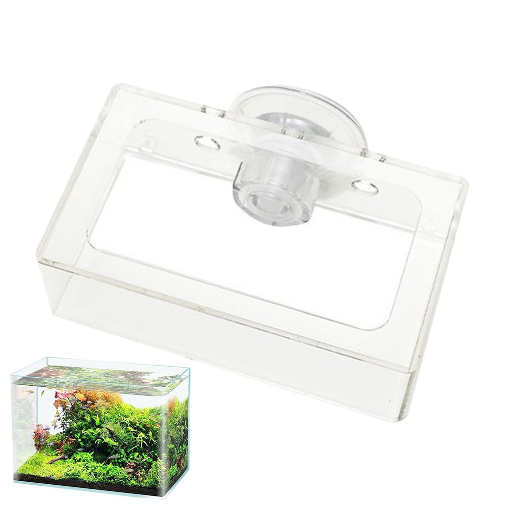 Shrimp Feeding Dish Slow-Feeding Plate Holder, Reusable