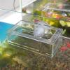 Shrimp Feeding Dish Slow-Feeding Plate Holder, Reusable view 2