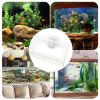 Shrimp Feeding Dish Slow-Feeding Plate Holder, Reusable view 4