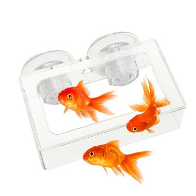 Non-Slip Aquarium Feeding Bowl