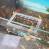 Dmuzsoih Fish Feeder with Suction Cup view 2