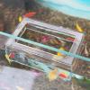 Dmuzsoih Fish Feeder with Suction Cup view 3