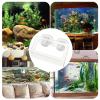 Dmuzsoih Fish Feeder with Suction Cup view 4
