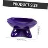 Elevated Ceramic Cat Bowl, Non-Slip and Stable, Blue view 2